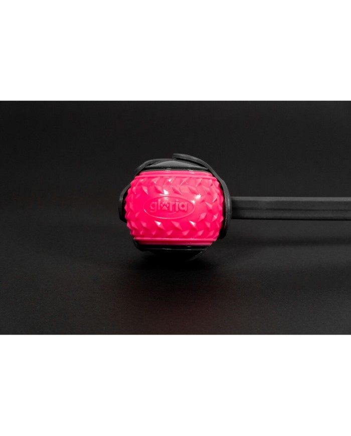 Lancia Palline per Cani Gloria