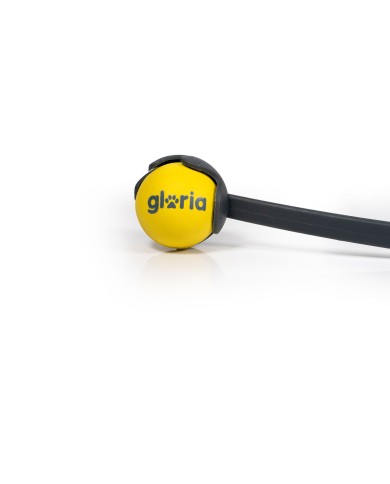 Lancia Palline per Cani Gloria