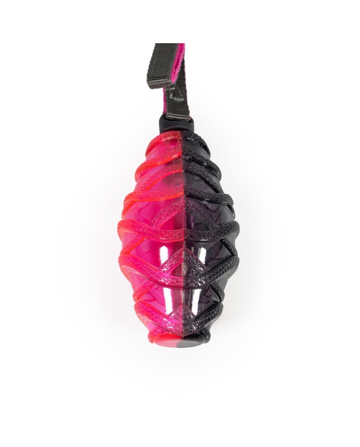 Lancia Palline per Cani Gloria