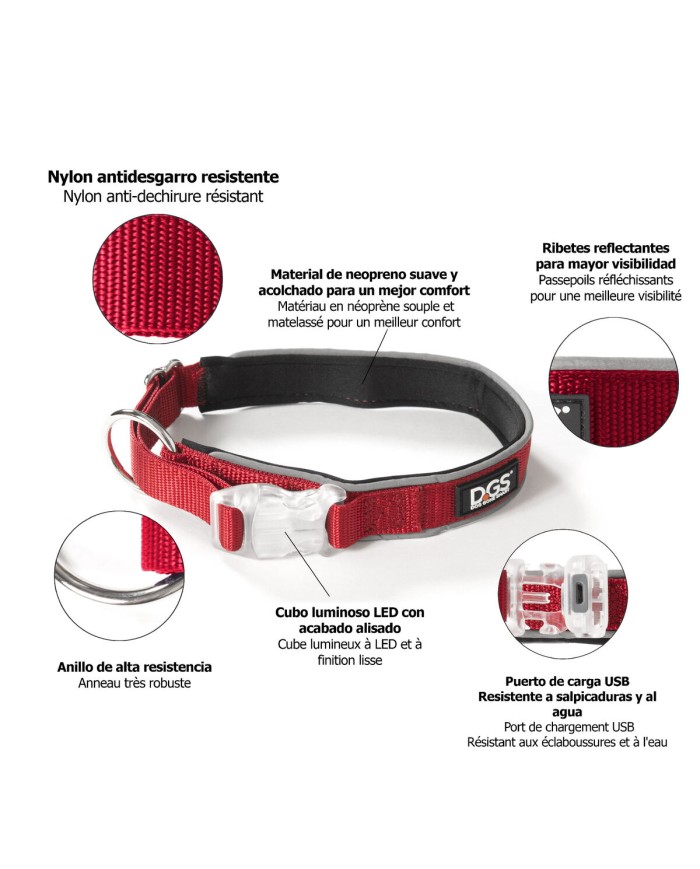Collare per Cani Dog Gone Smart Rosso 20 Luce