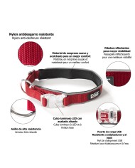 Collare per Cani Dog Gone Smart Rosso 20 Luce