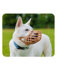 Museruola Company of Animals Marrone 3