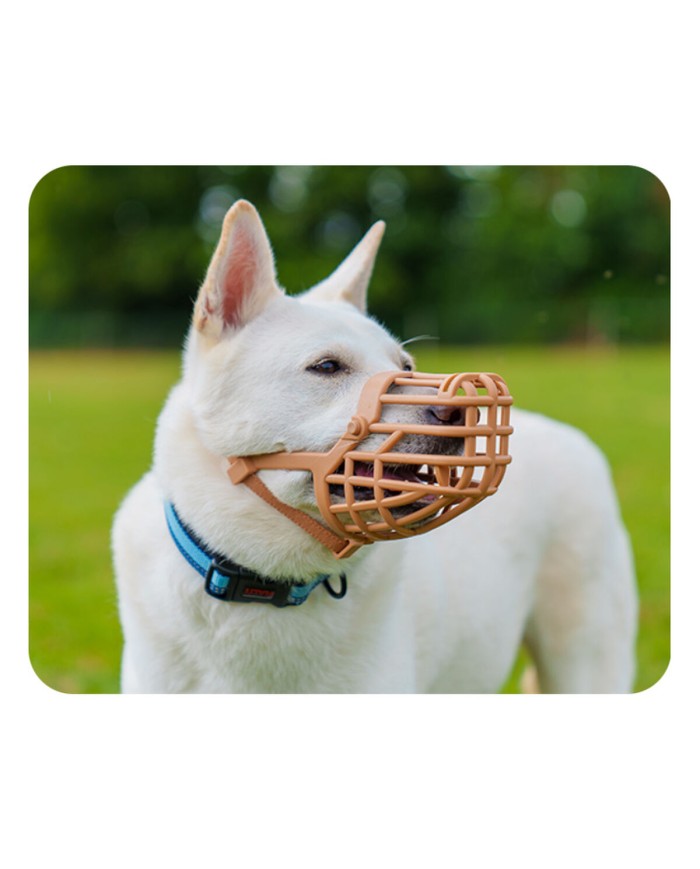 Museruola Company of Animals Marrone 10 Museruola Company of Animals Marrone 10