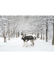 Cappotto per Cani Dog Gone Smart Nero 40 cm Cappotto per Cani Dog Gone Smart Nero 40 cm