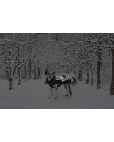 Cappotto per Cani Dog Gone Smart Nero 50 cm