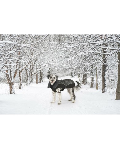 Cappotto per Cani Dog Gone Smart Nero 60 cm