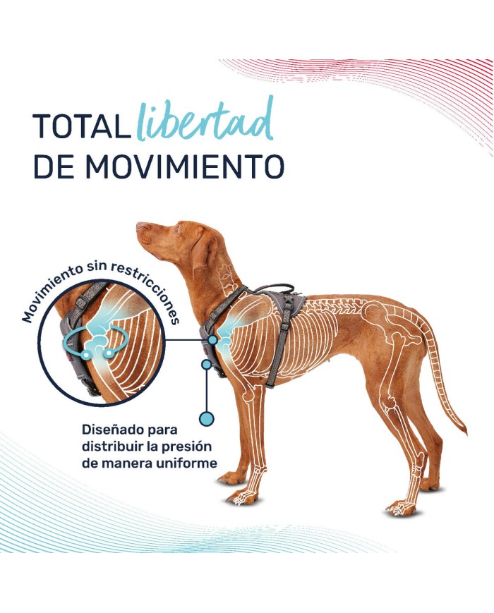 Imbracatura per Cani Company of Animals Turchese XS 20-32 cm Imbracatura per Cani Company of Animals Turchese XS 20-32 cm