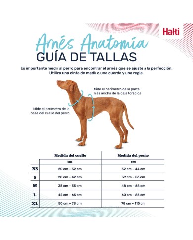 Imbracatura per Cani Company of Animals Turchese S 28-42 cm