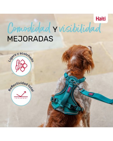 Imbracatura per Cani Company of Animals Turchese L 42-65 cm