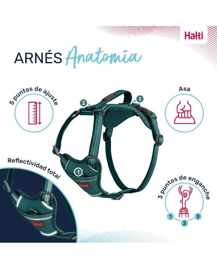 Imbracatura per Cani Company of Animals Turchese L 42-65 cm Imbracatura per Cani Company of Animals Turchese L 42-65 cm