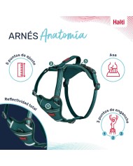 Imbracatura per Cani Company of Animals Turchese L 42-65 cm Imbracatura per Cani Company of Animals Turchese L 42-65 cm