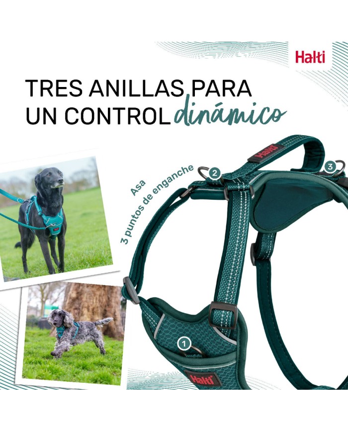 Imbracatura per Cani Company of Animals Turchese L 42-65 cm Imbracatura per Cani Company of Animals Turchese L 42-65 cm