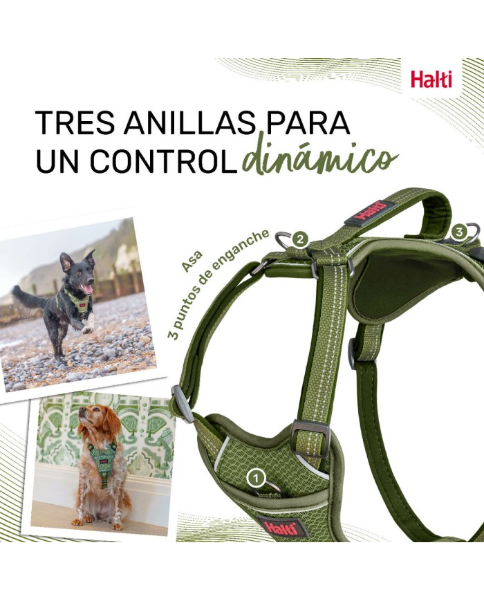 Imbracatura per Cani Company of Animals Verde XS 20-32 cm Imbracatura per Cani Company of Animals Verde XS 20-32 cm