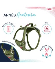 Imbracatura per Cani Company of Animals Verde XS 20-32 cm Imbracatura per Cani Company of Animals Verde XS 20-32 cm