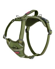 Imbracatura per Cani Company of Animals Verde M 35-55 cm Imbracatura per Cani Company of Animals Verde M 35-55 cm