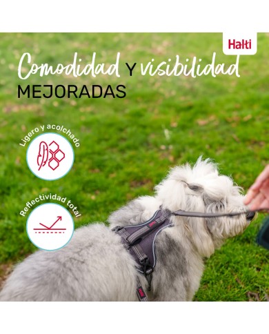 Imbracatura per Cani Company of Animals Grigio L 42-65 cm