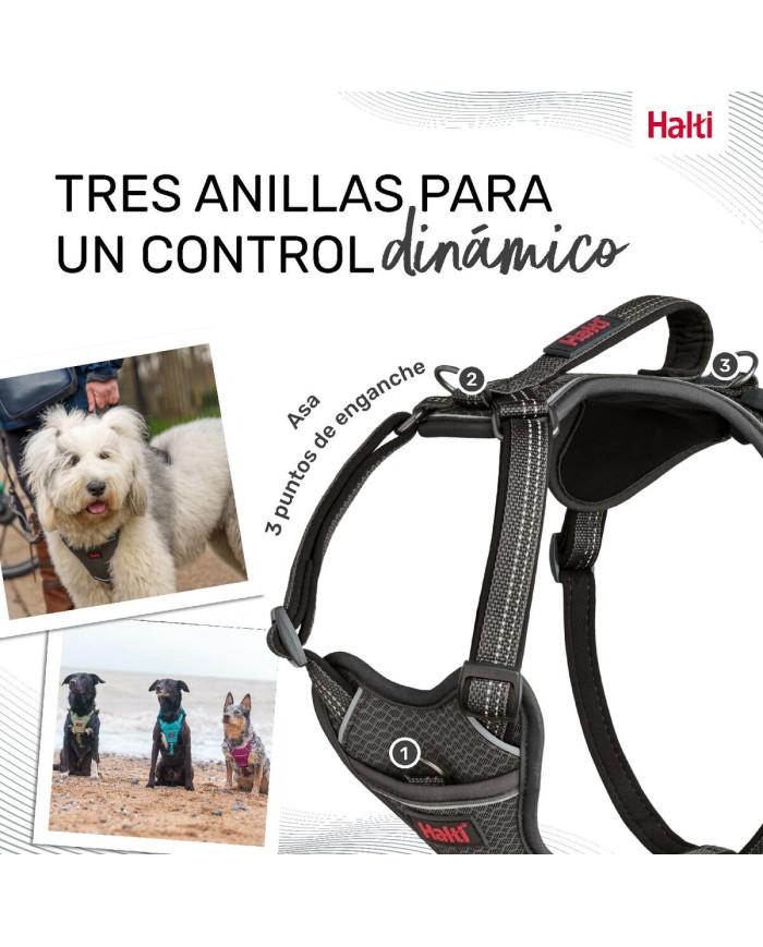 Imbracatura per Cani Company of Animals Grigio L 42-65 cm Imbracatura per Cani Company of Animals Grigio L 42-65 cm