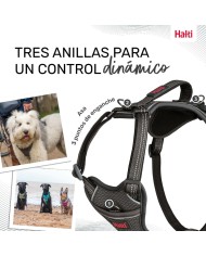 Imbracatura per Cani Company of Animals Grigio L 42-65 cm Imbracatura per Cani Company of Animals Grigio L 42-65 cm