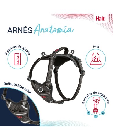 Imbracatura per Cani Company of Animals Grigio L 42-65 cm