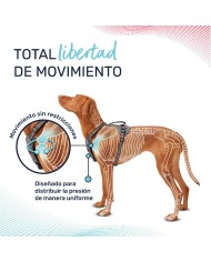 Imbracatura per Cani Company of Animals Bordeaux XS 20-32 cm