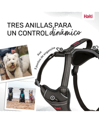 Imbracatura per Cani Company of Animals Grigio XL 50-78 cm