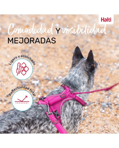 Imbracatura per Cani Company of Animals Bordeaux M 35-55 cm