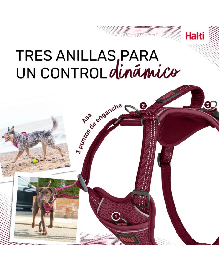 Imbracatura per Cani Company of Animals Bordeaux M 35-55 cm Imbracatura per Cani Company of Animals Bordeaux M 35-55 cm