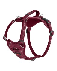 Imbracatura per Cani Company of Animals Bordeaux M 35-55 cm Imbracatura per Cani Company of Animals Bordeaux M 35-55 cm