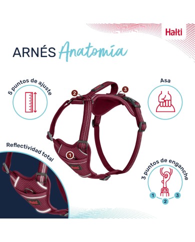 Imbracatura per Cani Company of Animals Bordeaux L 42-65 cm