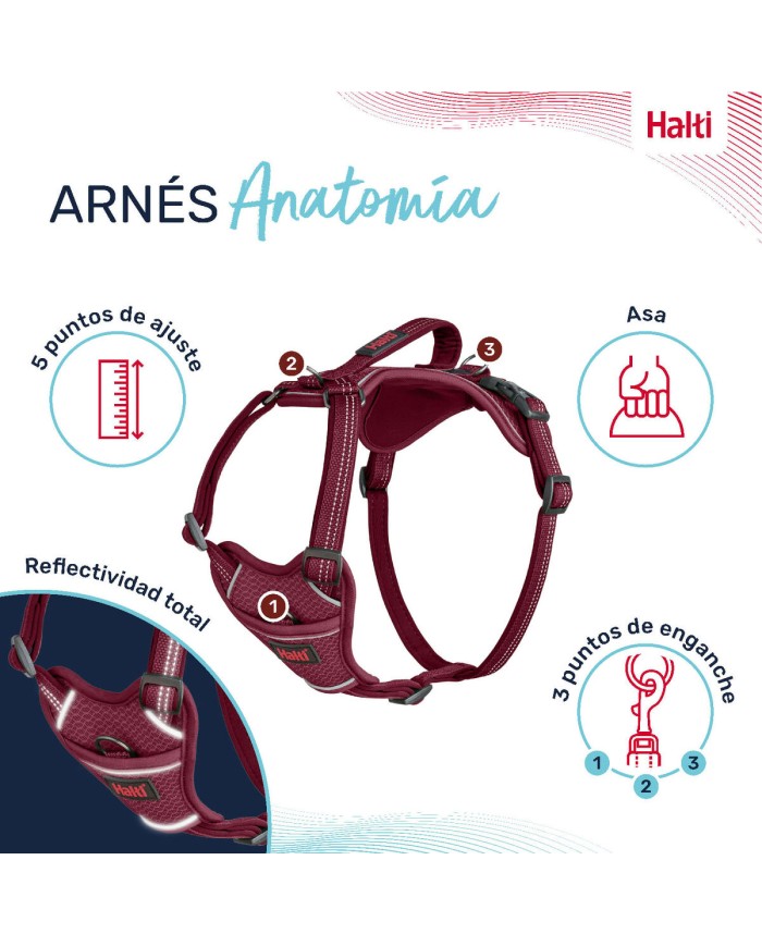 Imbracatura per Cani Company of Animals Bordeaux L 42-65 cm Imbracatura per Cani Company of Animals Bordeaux L 42-65 cm