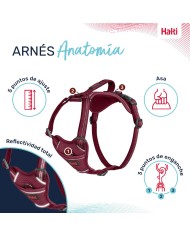 Imbracatura per Cani Company of Animals Bordeaux XL 50-78 cm Imbracatura per Cani Company of Animals Bordeaux XL 50-78 cm