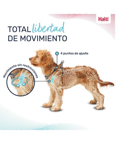 Imbracatura per Cani Company of Animals Grigio XXS 22-30 cm