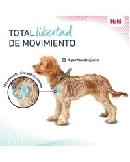 Imbracatura per Cani Company of Animals Grigio XXS 22-30 cm Imbracatura per Cani Company of Animals Grigio XXS 22-30 cm