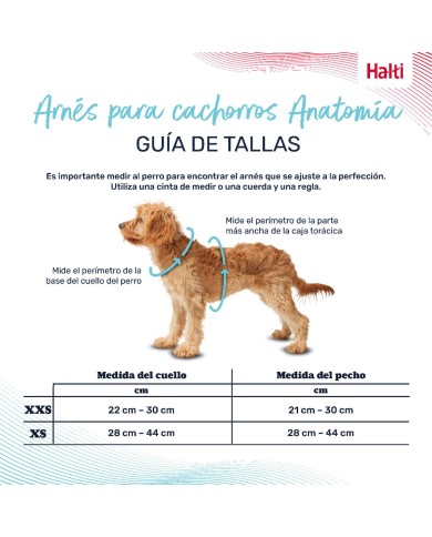 Imbracatura per Cani Company of Animals Grigio XXS 22-30 cm