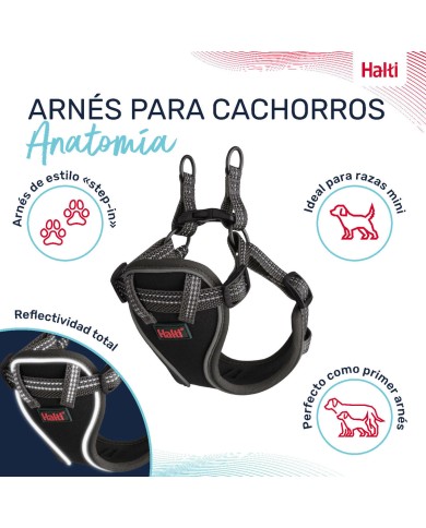 Imbracatura per Cani Company of Animals Grigio XXS 22-30 cm