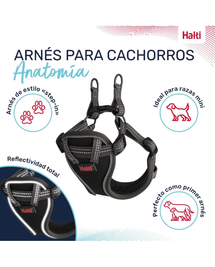 Imbracatura per Cani Company of Animals Grigio XS 28-44 cm Imbracatura per Cani Company of Animals Grigio XS 28-44 cm