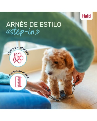 Imbracatura per Cani Company of Animals Grigio XS 28-44 cm