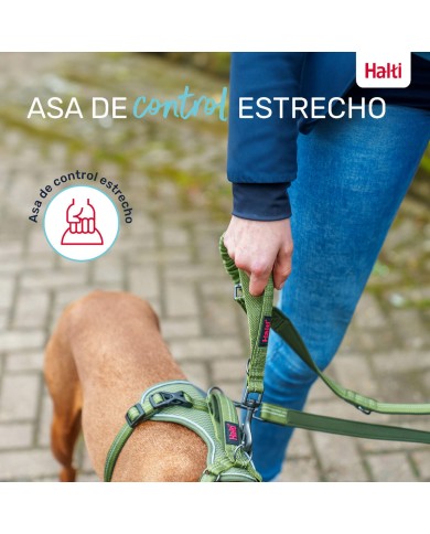 Guinzaglio per Cani Company of Animals Verde S