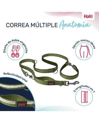 Guinzaglio per Cani Company of Animals Verde S