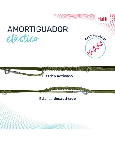 Guinzaglio per Cani Company of Animals Verde L