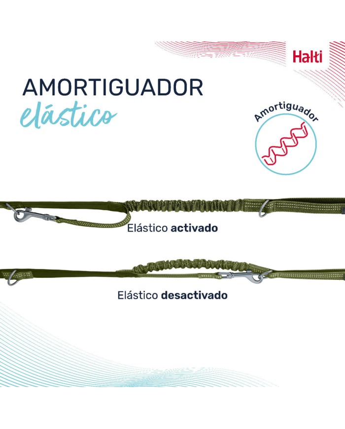 Guinzaglio per Cani Company of Animals Verde L