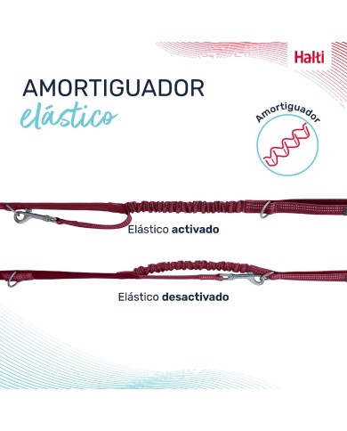 Guinzaglio per Cani Company of Animals Bordeaux S