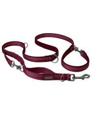 Guinzaglio per Cani Company of Animals Turchese S