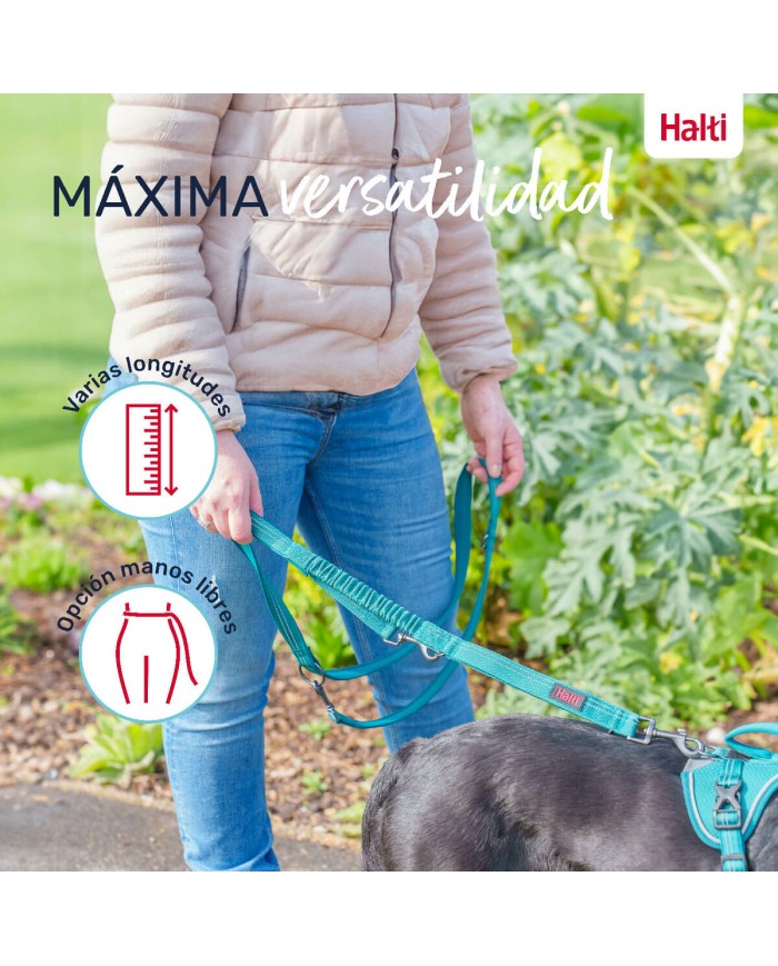 Guinzaglio per Cani Company of Animals Bordeaux S Guinzaglio per Cani Company of Animals Bordeaux S