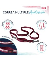 Guinzaglio per Cani Company of Animals Bordeaux S Guinzaglio per Cani Company of Animals Bordeaux S