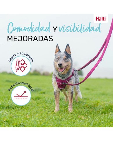 Guinzaglio per Cani Company of Animals Bordeaux L