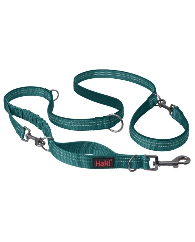 Guinzaglio per Cani Company of Animals Turchese L