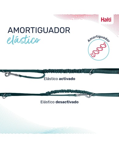 Guinzaglio per Cani Company of Animals Turchese L