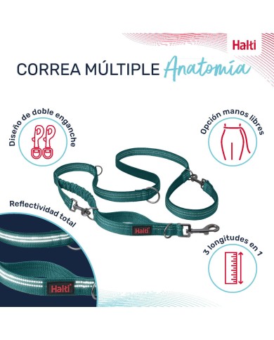 Guinzaglio per Cani Company of Animals Turchese L