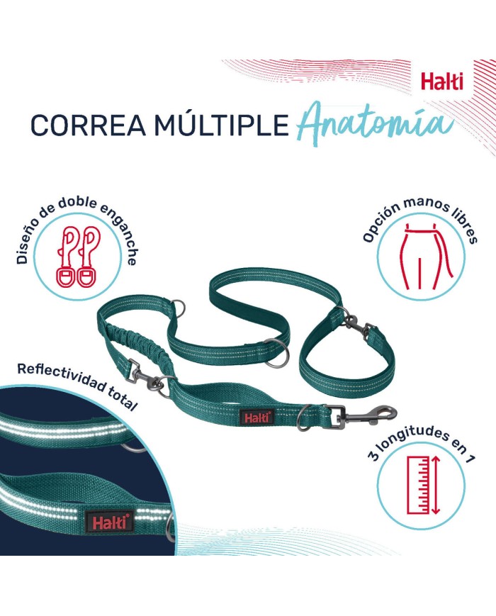 Guinzaglio per Cani Company of Animals Turchese L Guinzaglio per Cani Company of Animals Turchese L